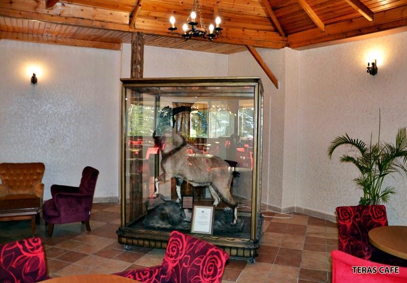 Kızılcahamam Patalya Thermal Resort Hotel מראה חיצוני תמונה